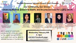 Our Community, Our Voices: Enhancing Medical, Behavioral Health, & Housing Services for LBGTQ Youth